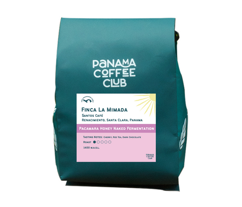 Pacamara Naked Fermentation - Santos Café