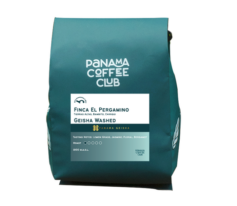 Geisha Washed - Finca El Pergamino
