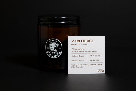 V-08 Fierce - Best of Panama - Auction Lot