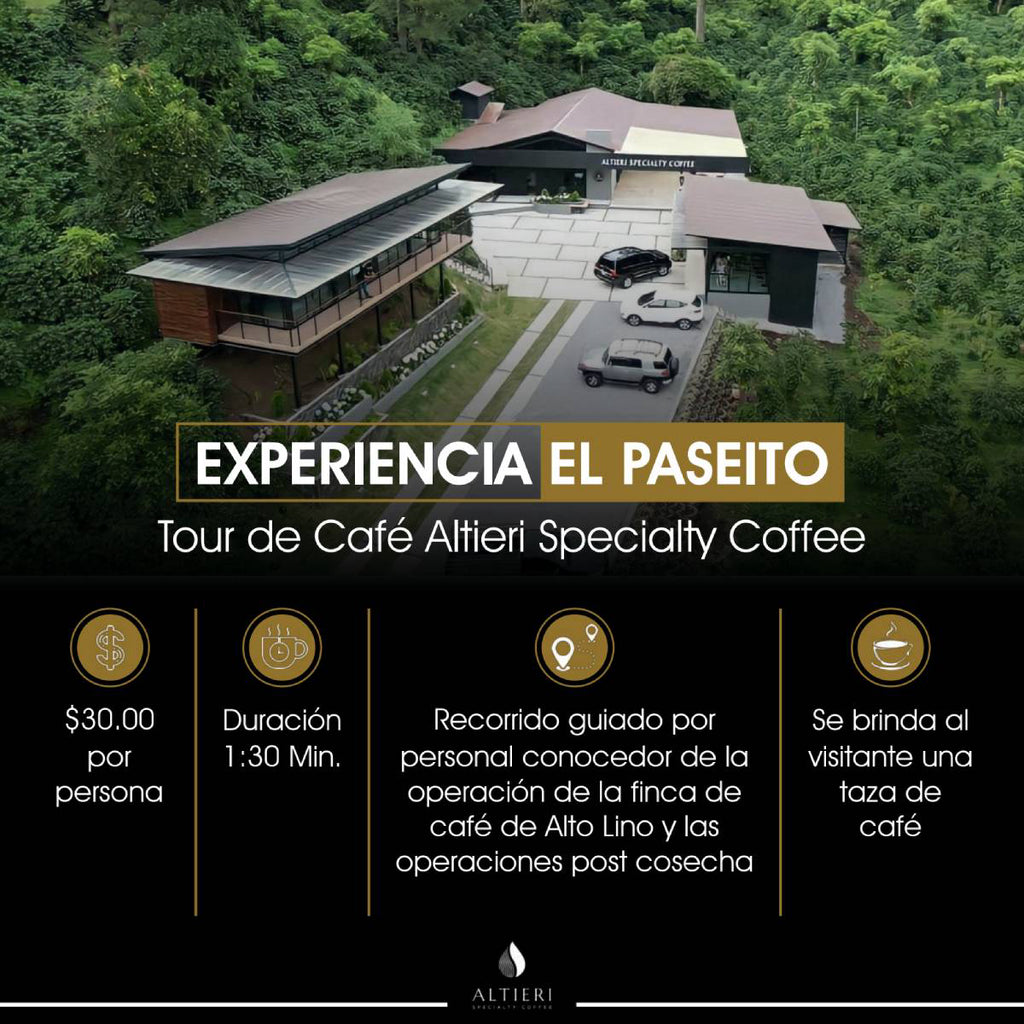 EXPERIENCIA EL PASEITO