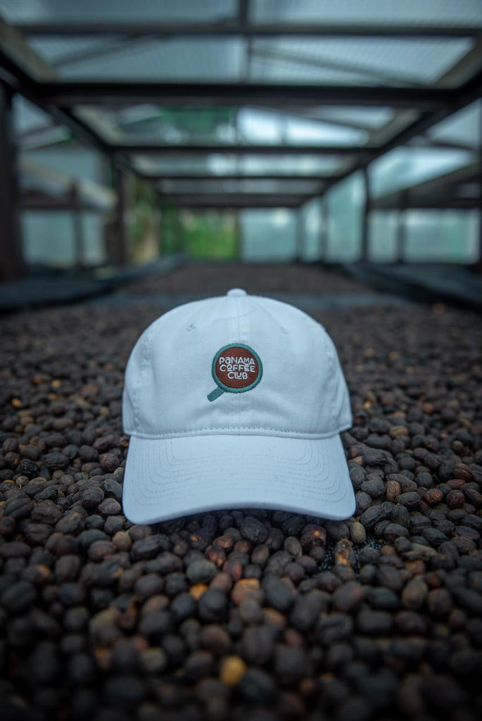 Gorra PCC