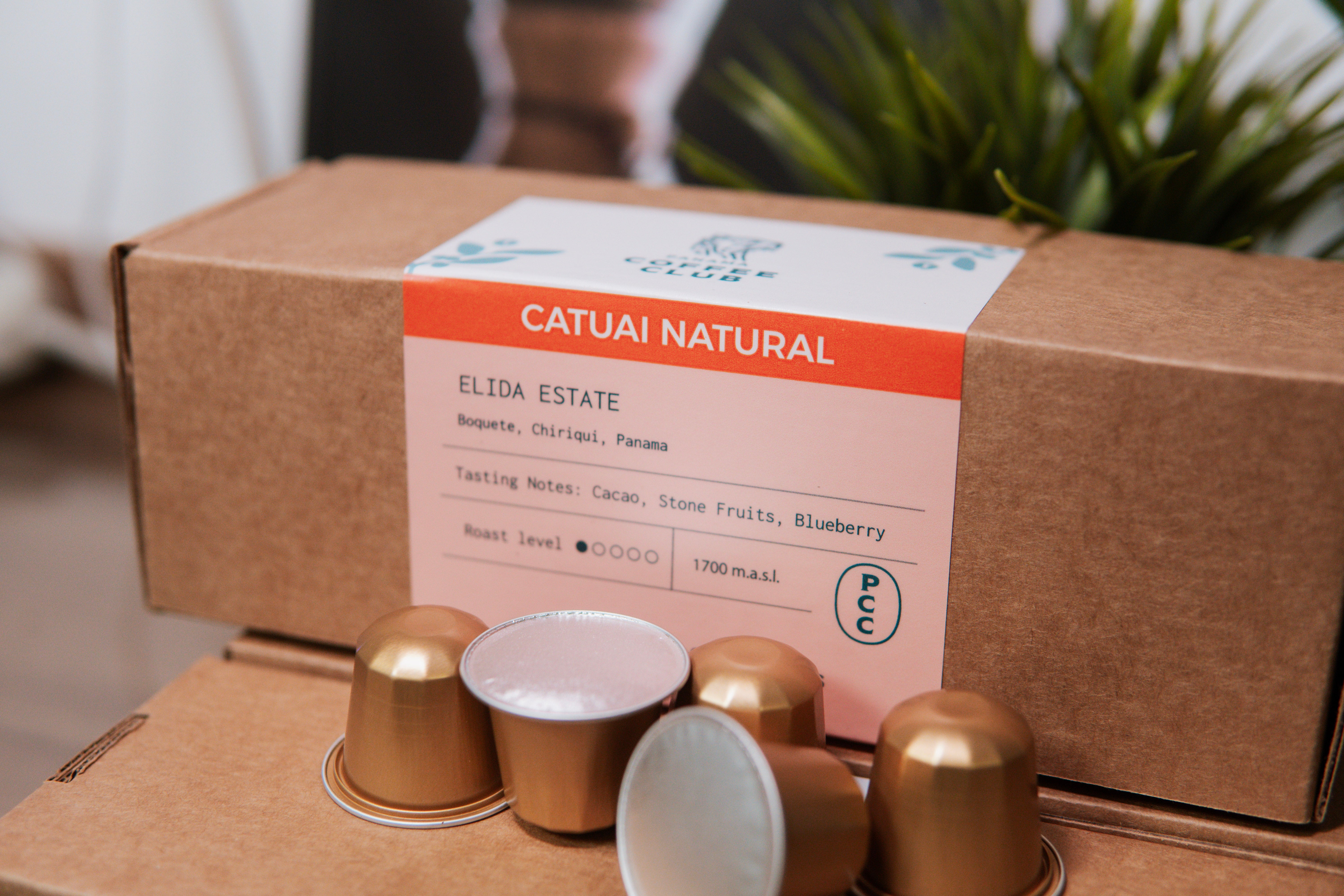 Cápsulas – PANAMA COFFEE CLUB