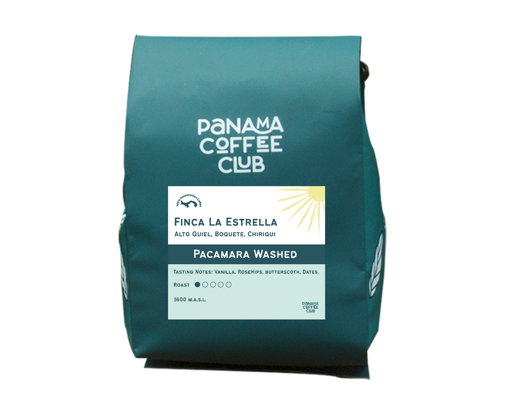 Pacamara Washed - Finca La Estrella