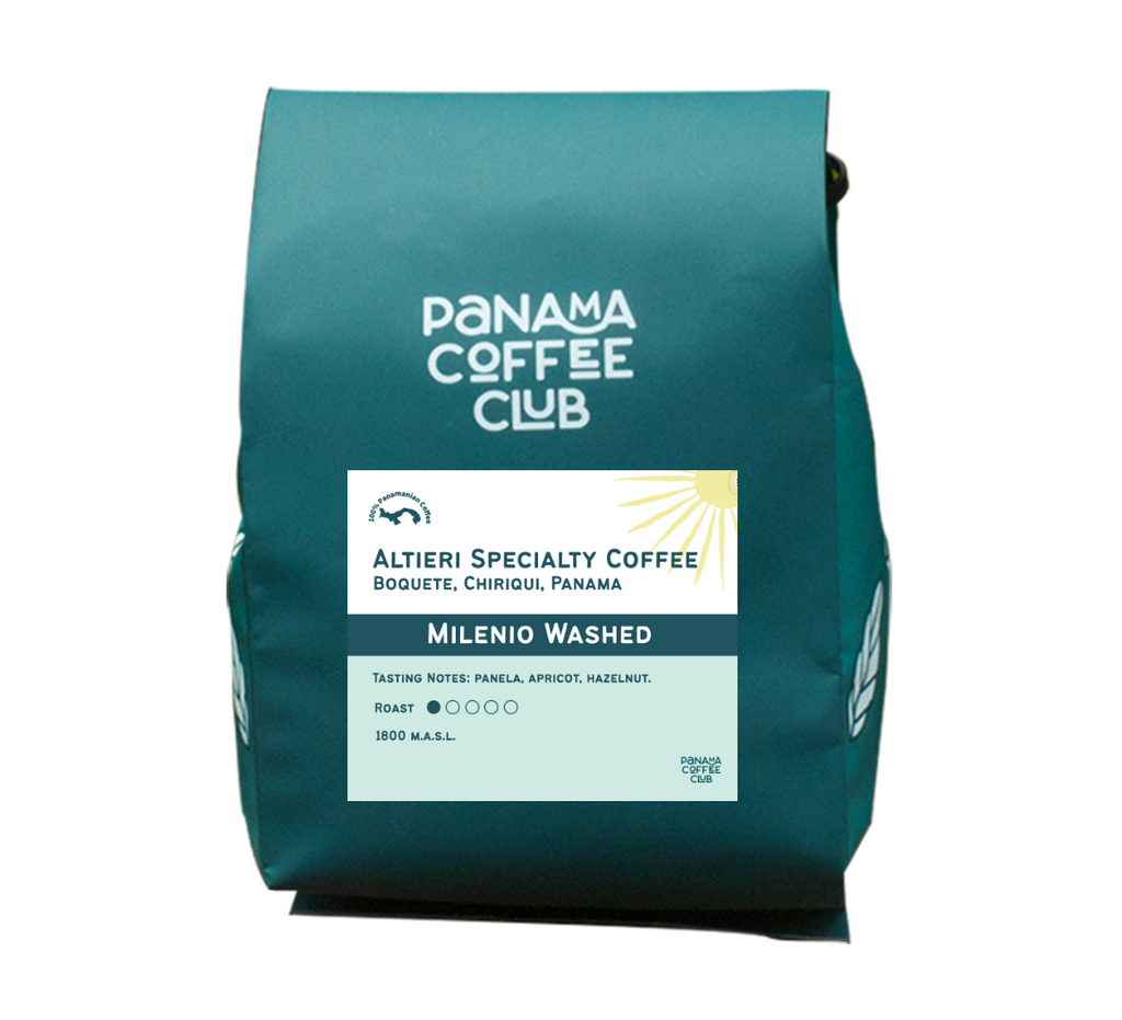 Milenio Washed - Altieri
