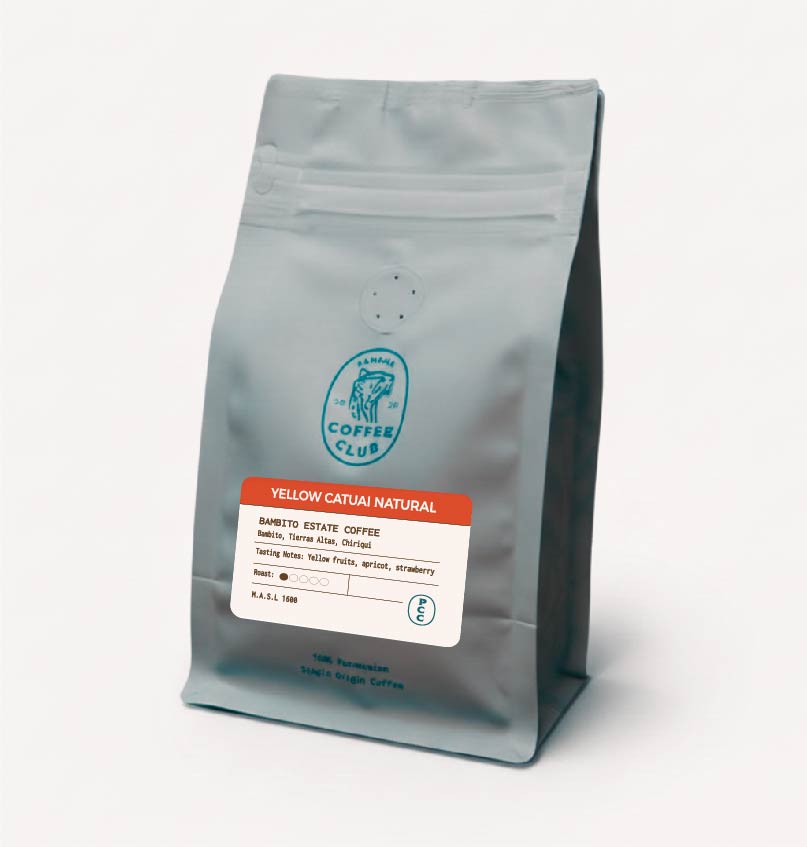 Yellow Catuai Natural - Bambito Estate