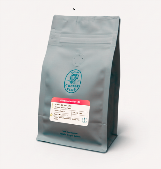 Geisha Natural - El Destino