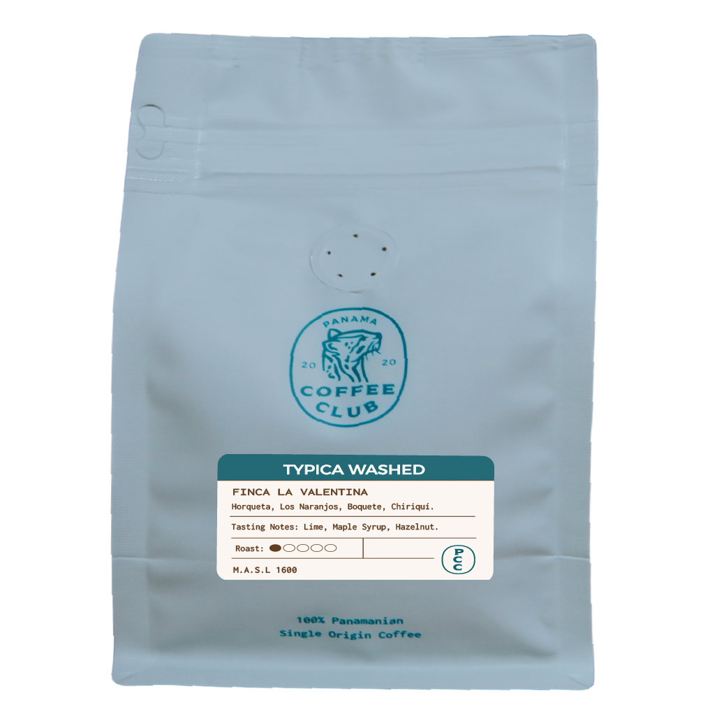 Typica Washed - Finca La Valentina