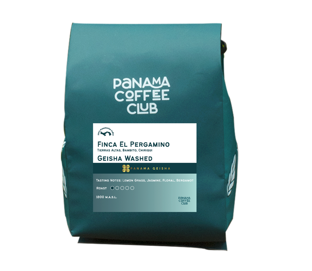Geisha Washed - Finca El Pergamino