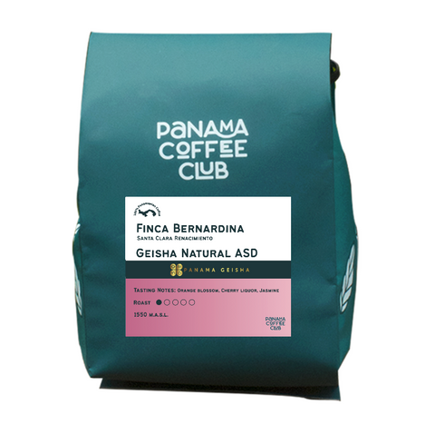 Geisha Anaerobic - Finca Bernardina