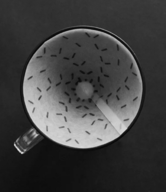 Sibarist FAST GRAYCANO (25 uds)