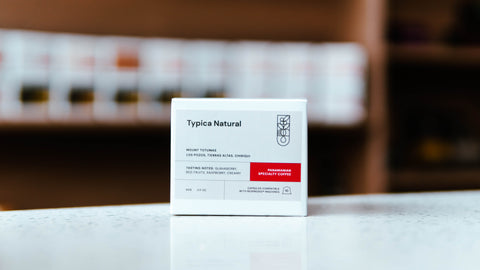 Typica Natural, Mount Totumas - Cruce Coffee Company