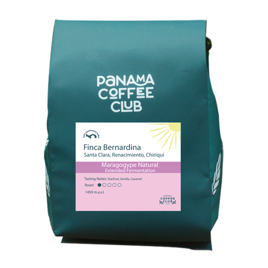 Maragogype Natural Extended Fermentation - Finca Bernardina