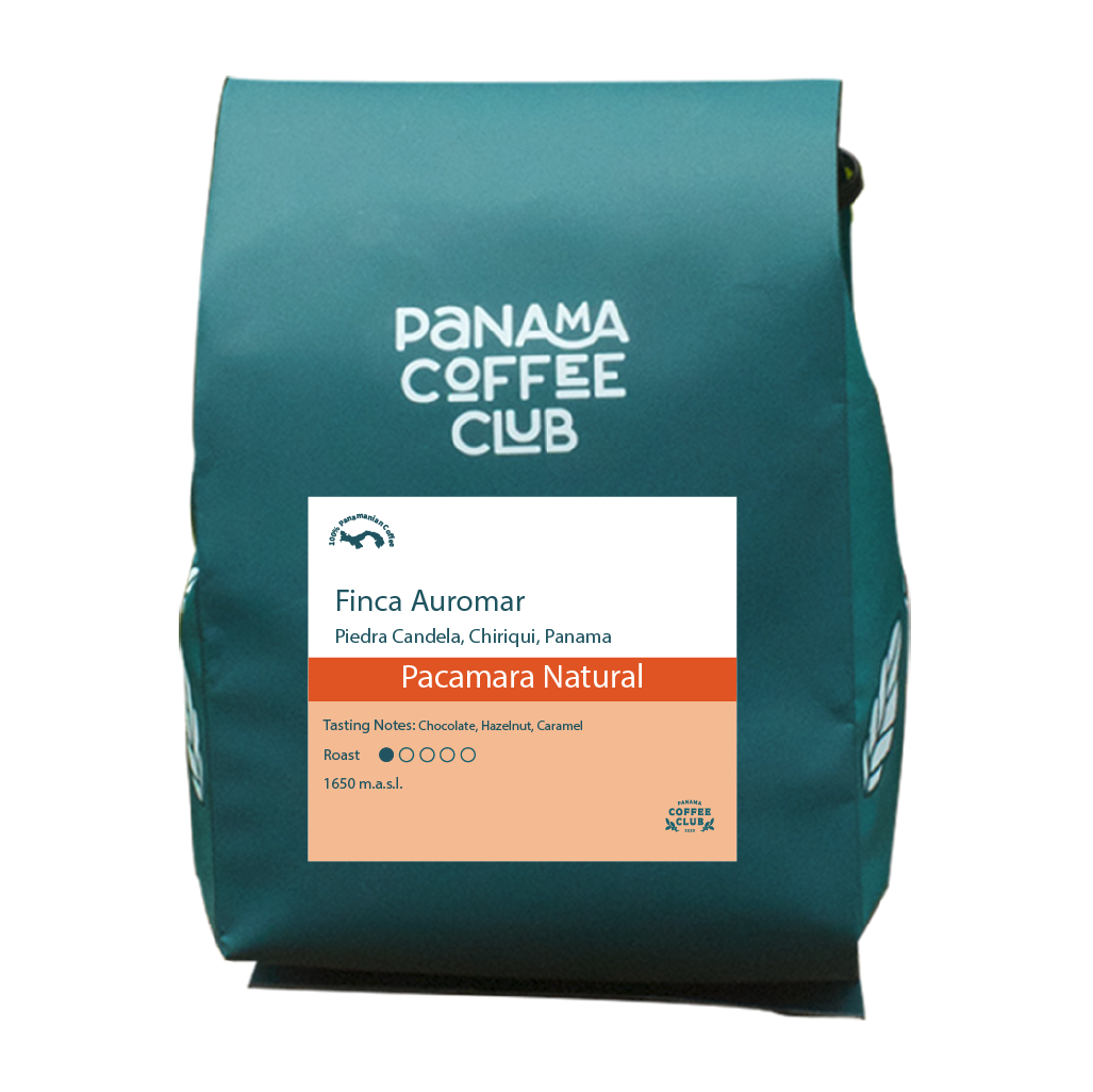 Pacamara Natural - Finca Auromar