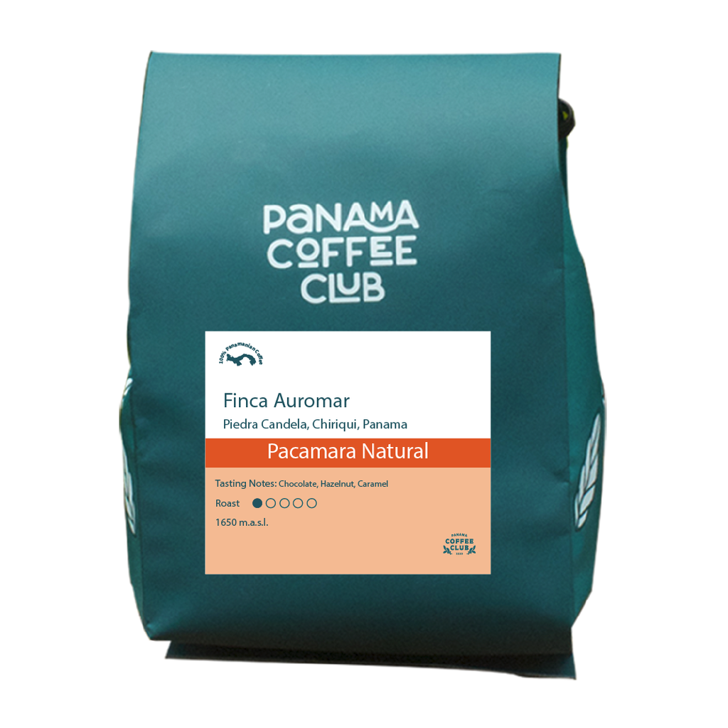 Pacamara Natural - Finca Auromar