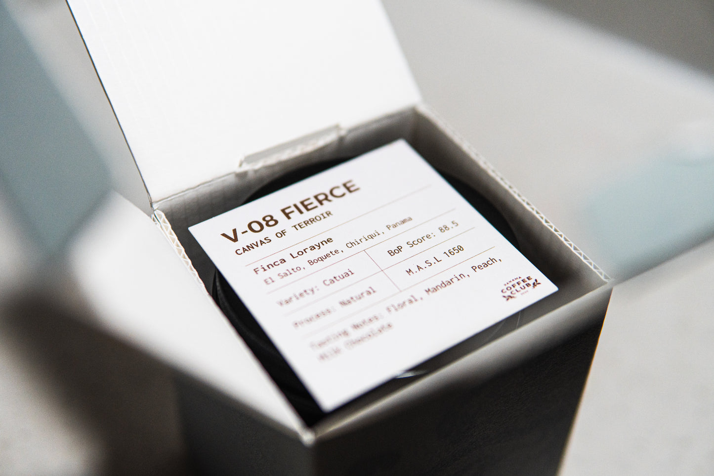 V-08 Fierce - Best of Panama - Auction Lot