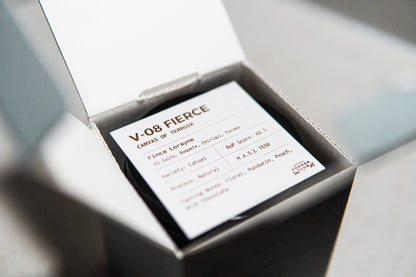 V-08 Fierce - Best of Panama - Auction Lot