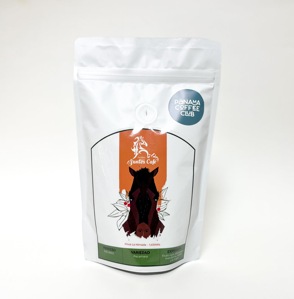 Pacamara ASD - Santos Café