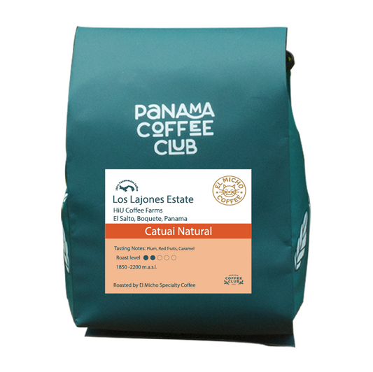 Catuai Natural - Los Lajones Estate - El Micho Specialty Coffee