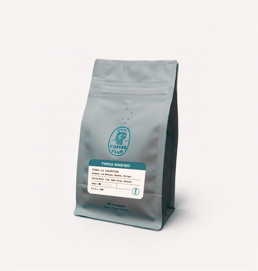 Typica Washed - Finca La Valentina